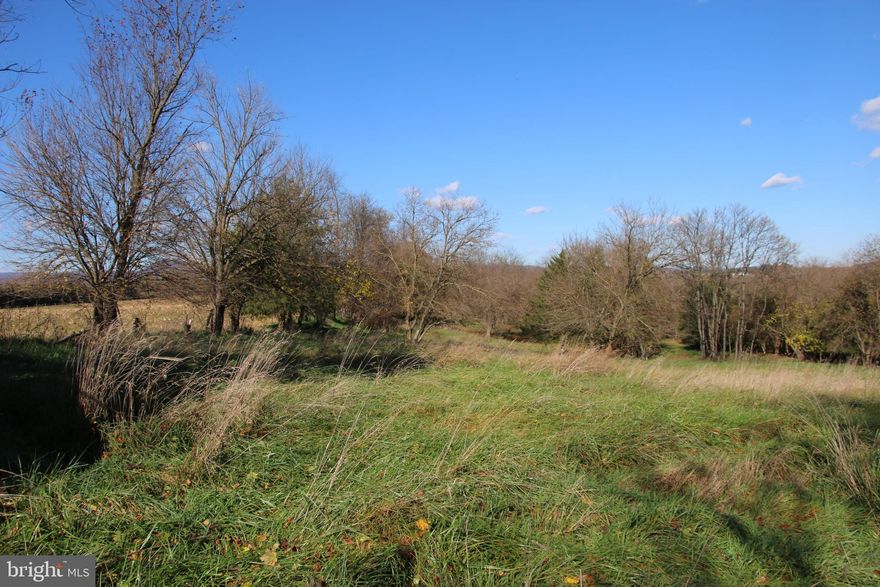 Land with features like this won’t last long! Located along Eden Road near the eastern town limits of Luray.  Access into this premier parcel is secured via road frontage on paved Eden Road. There’s no need to go to the expense of drilling a well and installing a costly septic system as public hookups for water and sewer are available for this prime lot. This stellar property is a mix of open and wooded acreage. Magnificent mountain views of the Shenandoah National Park can be seen year round. Terrific location for the country home you’ve always wanted. Utilities are close by making for easy and affordable connections. The gentle topography is builder friendly and makes navigating the property easy and enjoyable. This land is zoned R2 and there is no HOA.