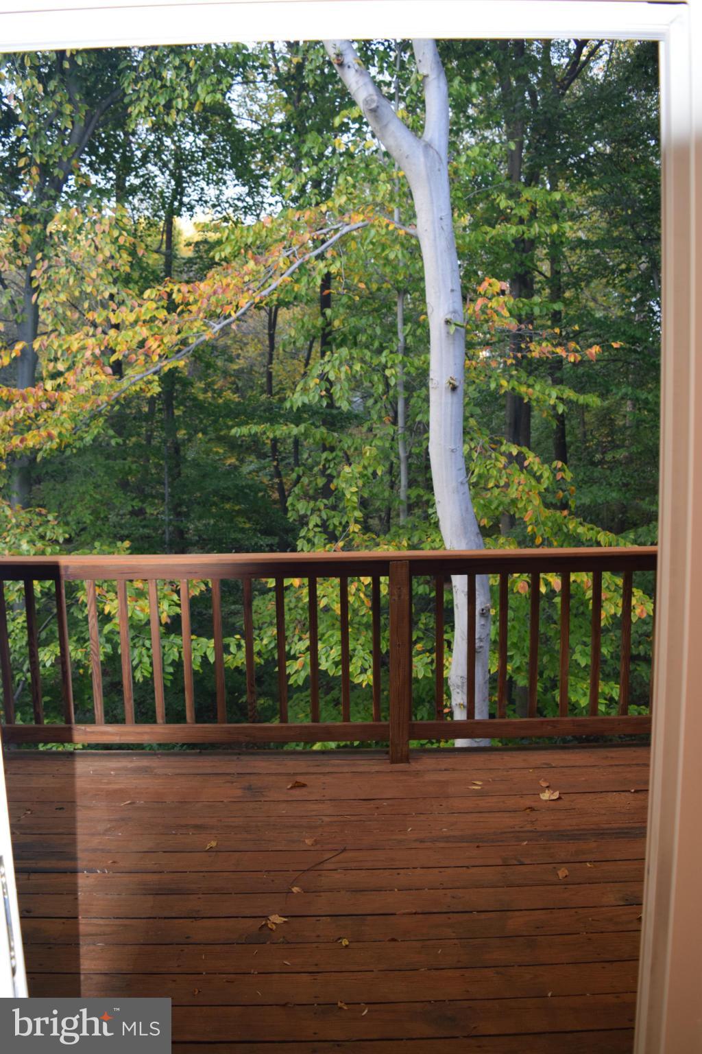 GROSVENOR PARK - Residential Lease