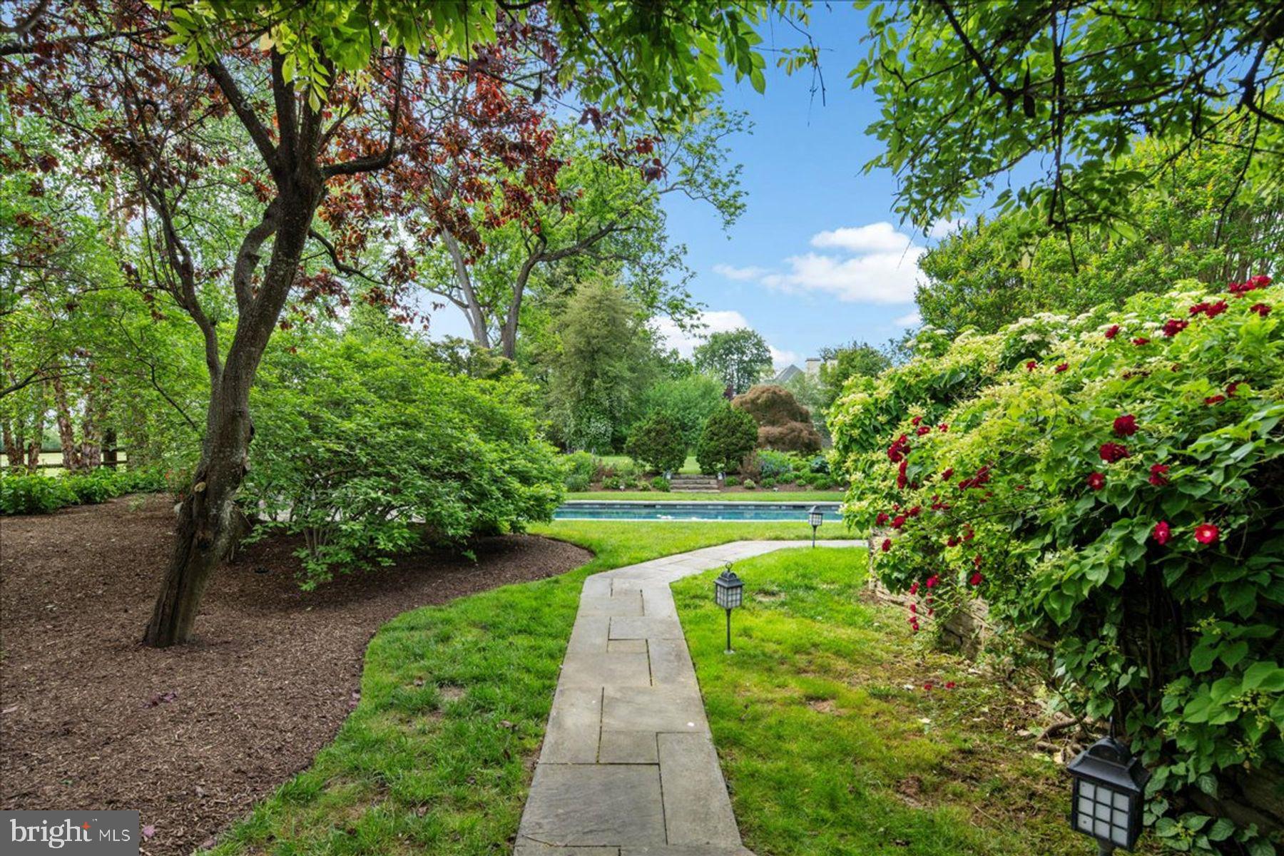 CHESTNUT HILL - Residential