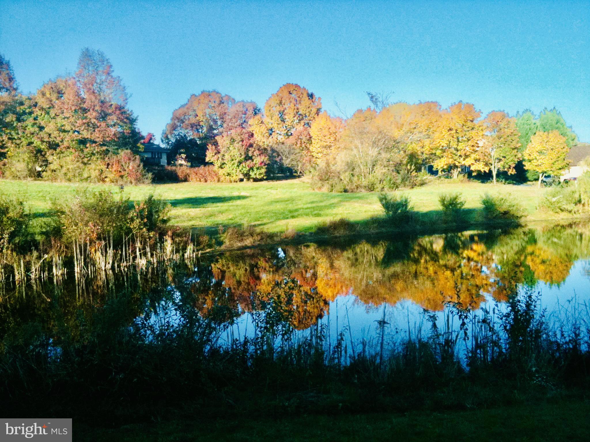 LAKE HOLIDAY ESTATES - Residential
