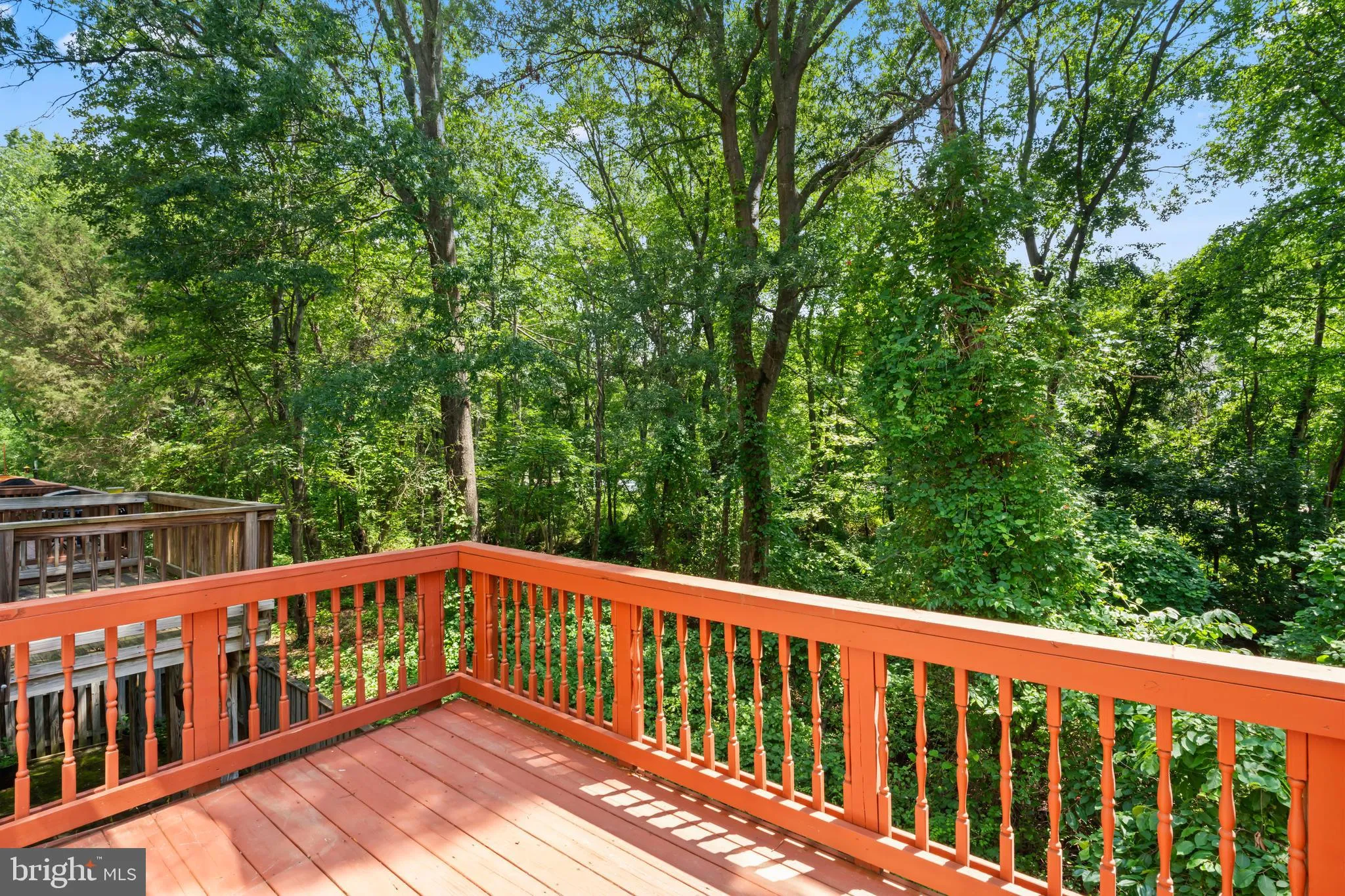 Alexandria, Virginia 22306, United States, 3 Bedrooms Bedrooms, ,4 BathroomsBathrooms,Residential,Active,166177