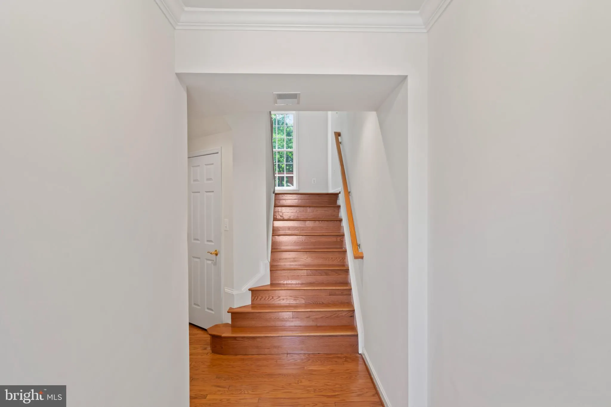 Alexandria, Virginia 22306, United States, 3 Bedrooms Bedrooms, ,4 BathroomsBathrooms,Residential,Active,166177