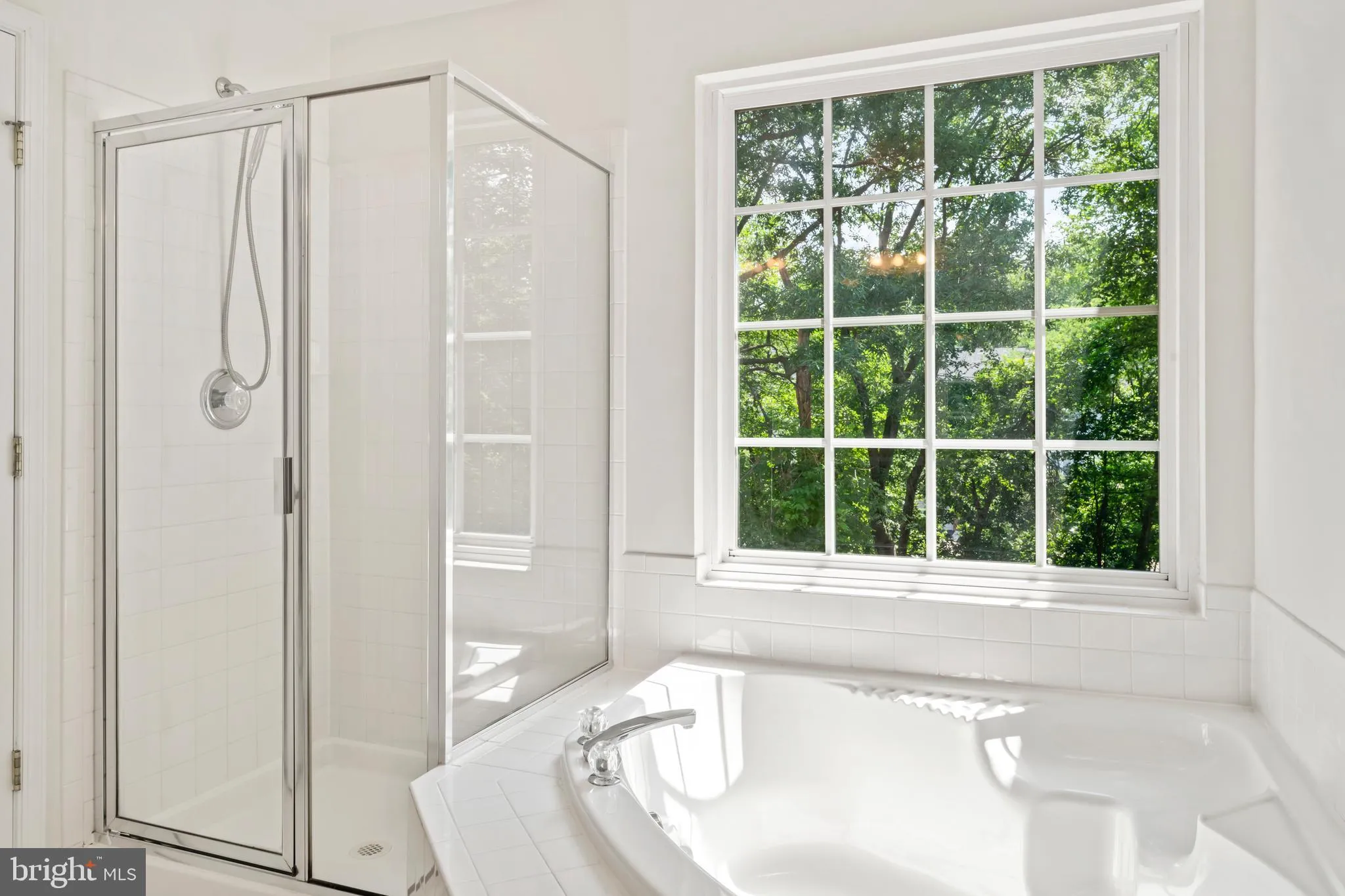 Alexandria, Virginia 22306, United States, 3 Bedrooms Bedrooms, ,4 BathroomsBathrooms,Residential,Active,166177