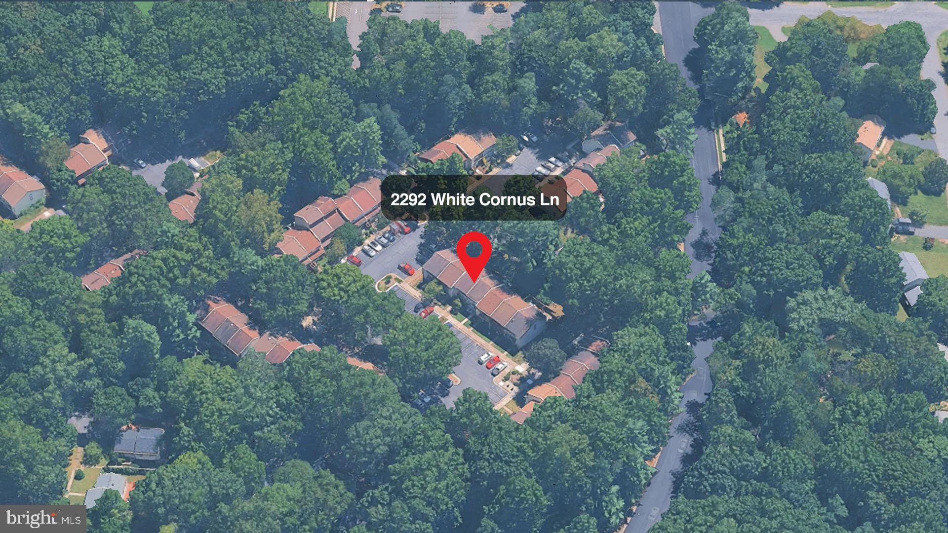 2292 WHITE CORNUS LANE