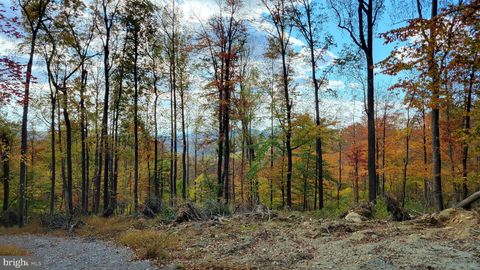 Vacant Land For Sale - 4460 Middlepoint Road<br/> Frederick County, MYERSVILLE, MD 21773