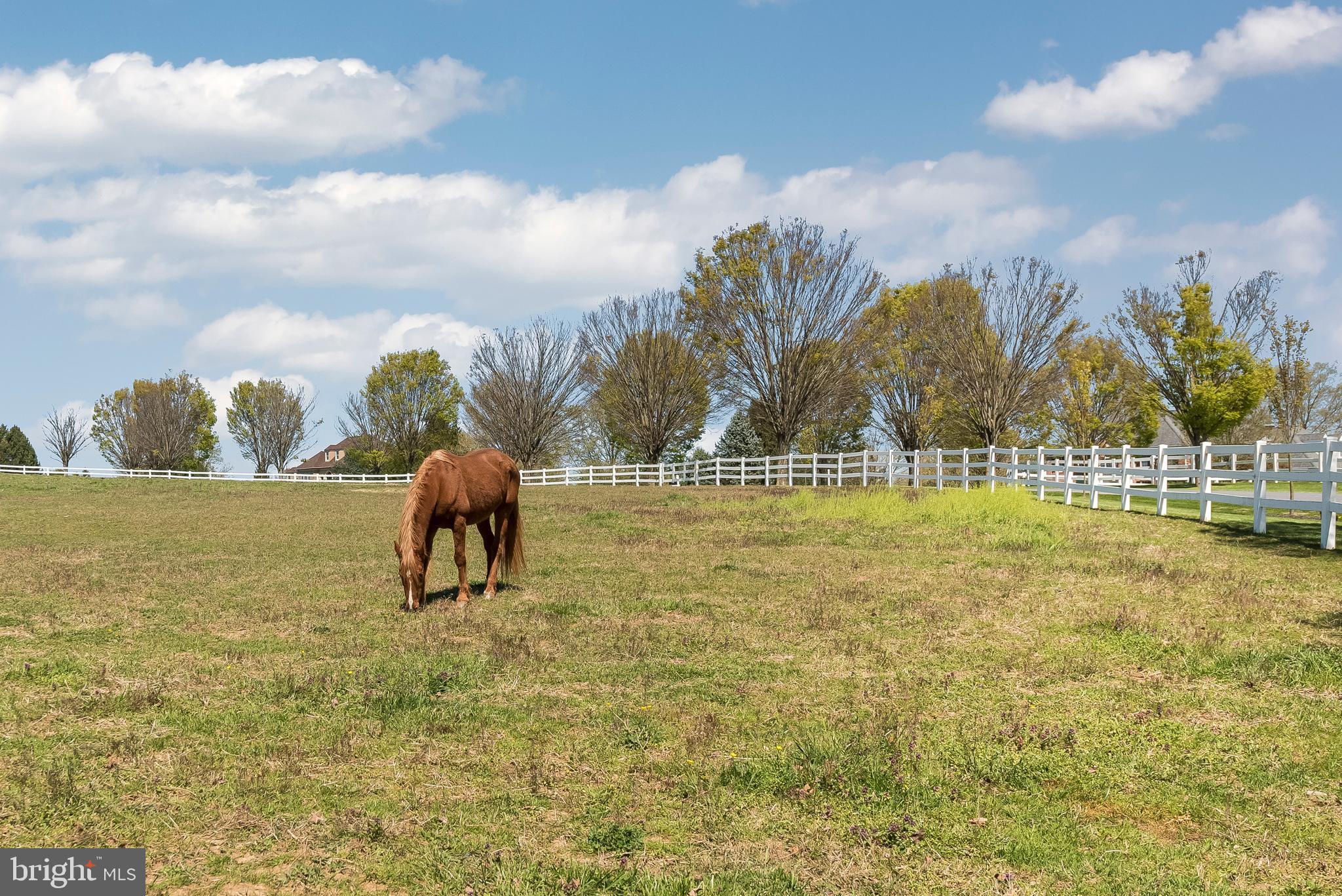 WOODMONT - Residential