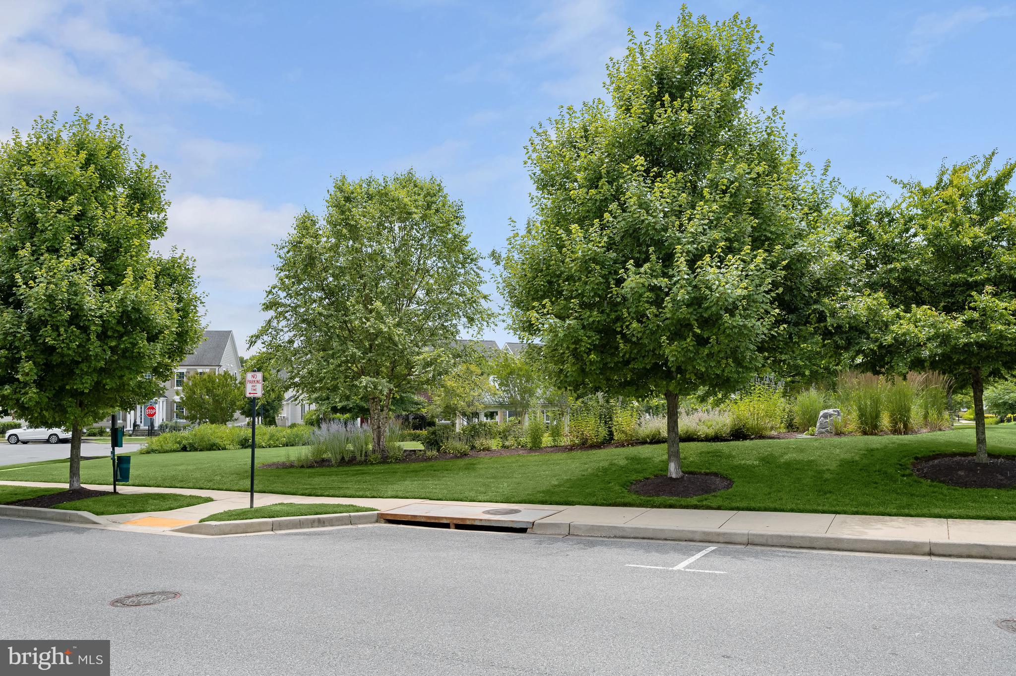 MAPLE LAWN - Residential