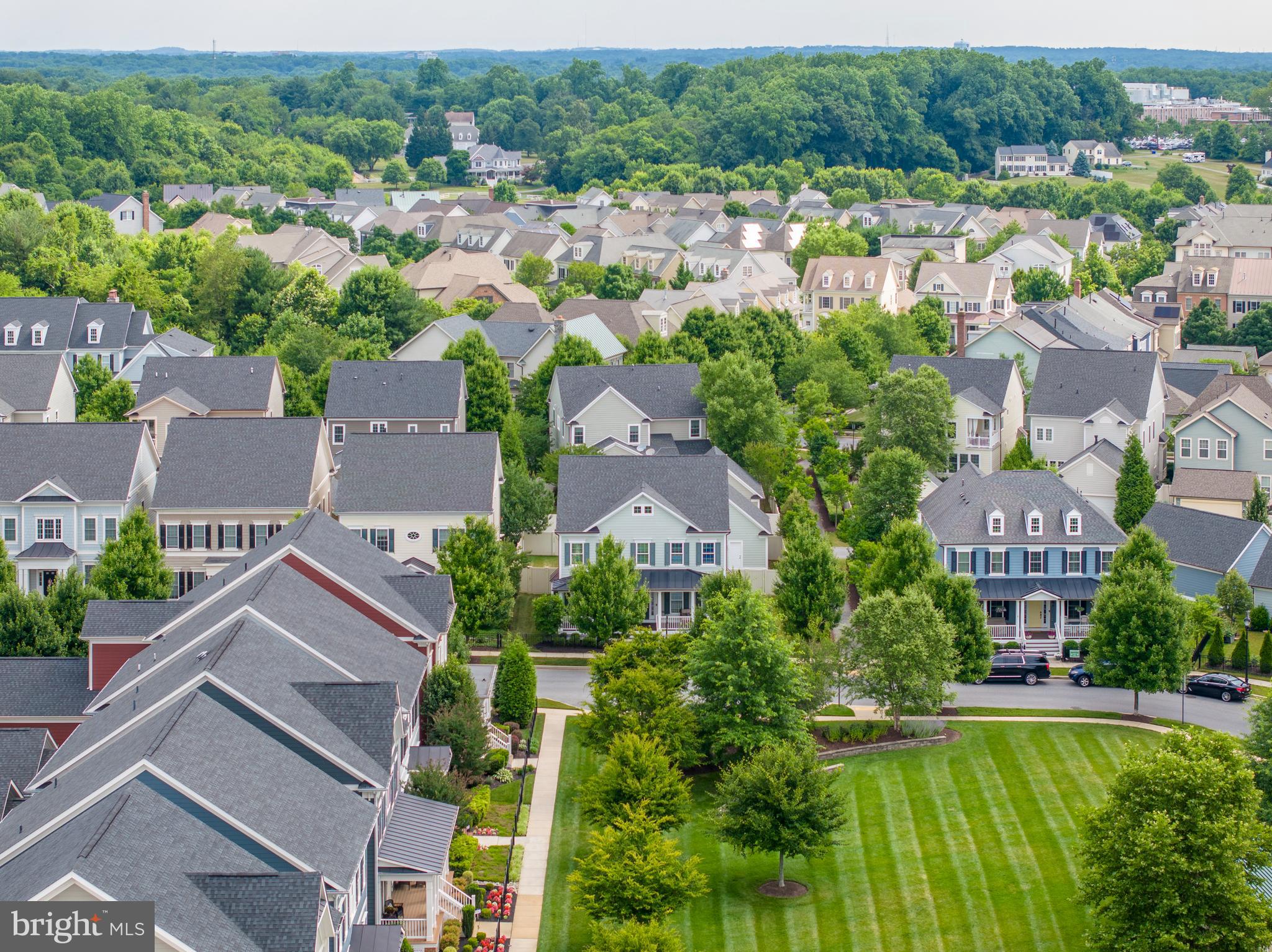 MAPLE LAWN - Residential