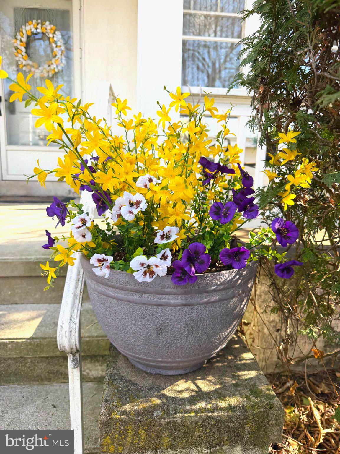 1236 DELAWARE AVENUE