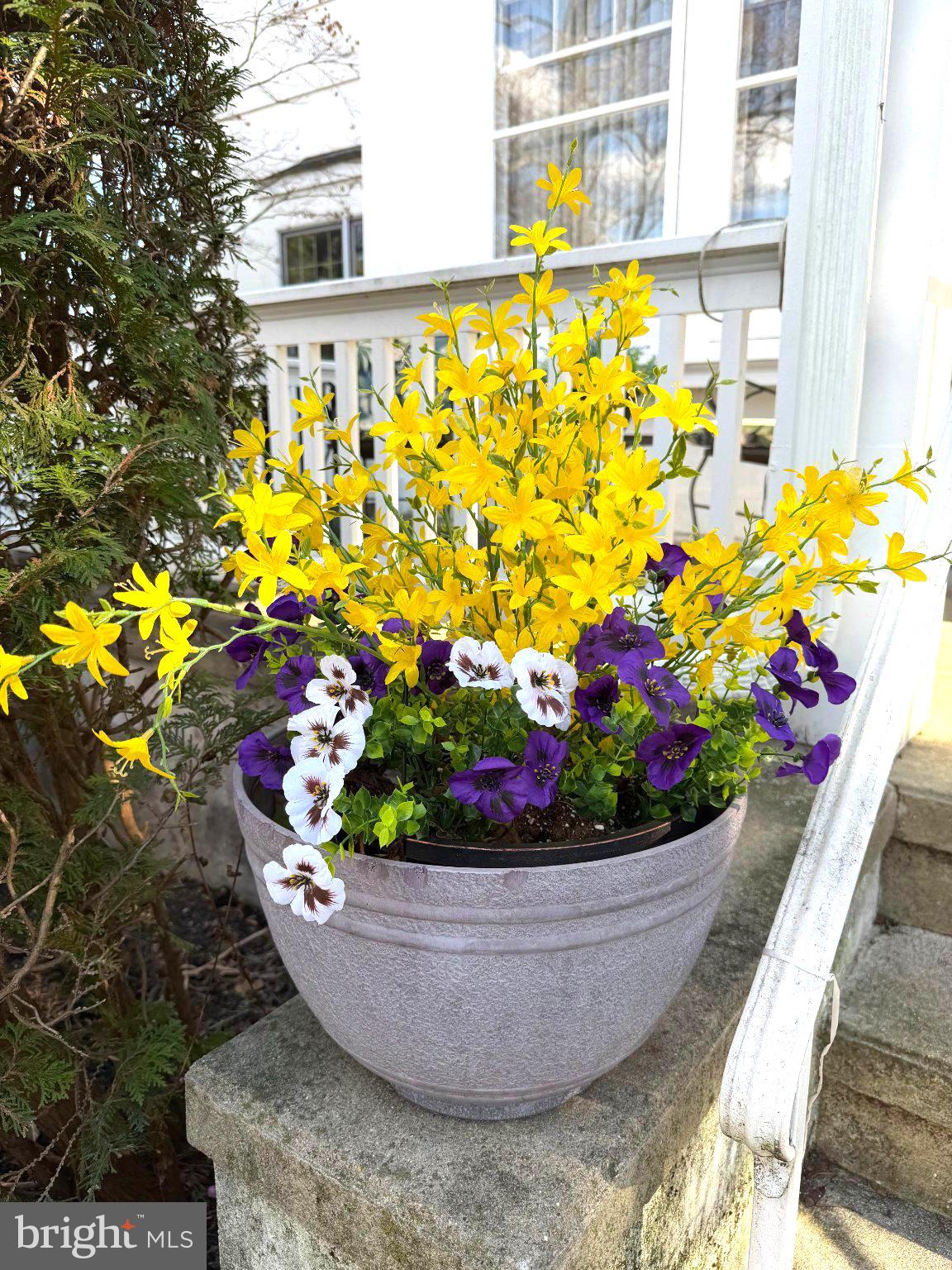 WYOMISSING - Residential