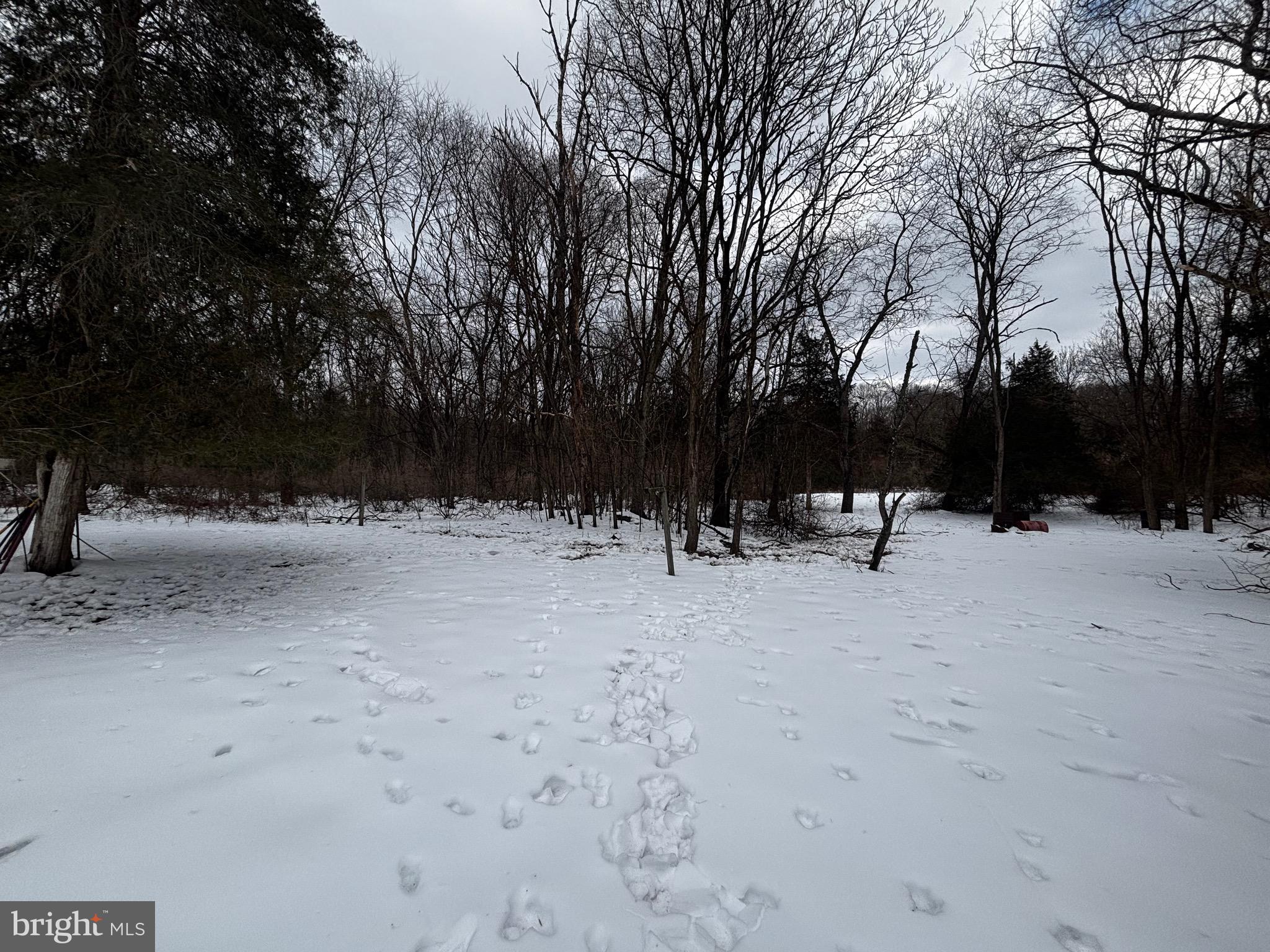 DITTO FARMS - Residential