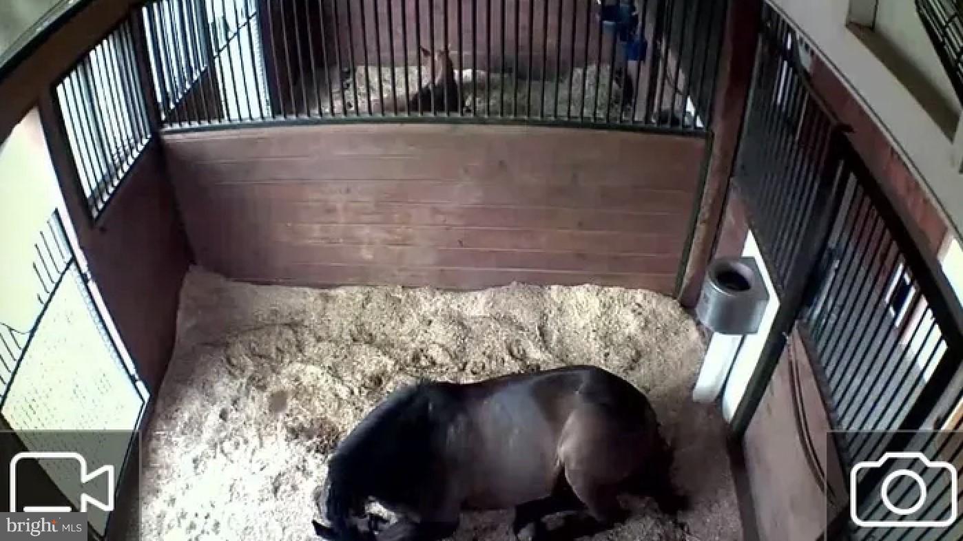 FRAZER HL FARMETTE - Residential