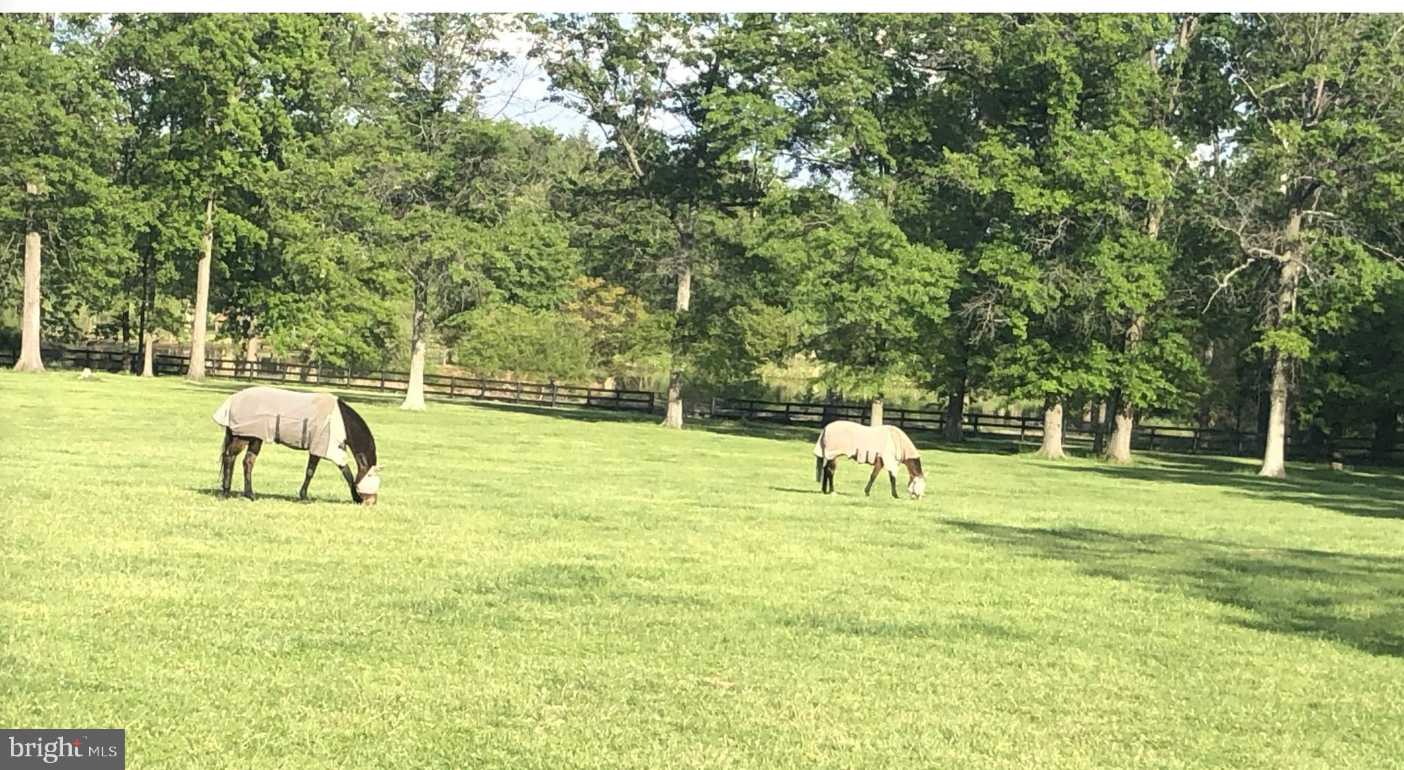 FRAZER HL FARMETTE - Residential