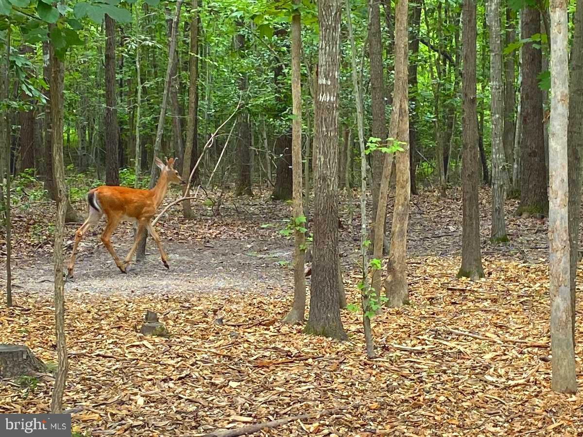 MAGNOLIA WOODS - Residential
