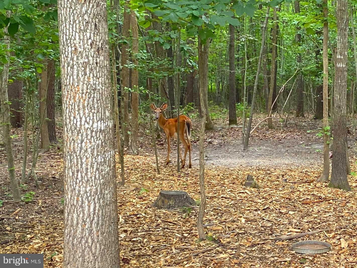 MAGNOLIA WOODS - Residential