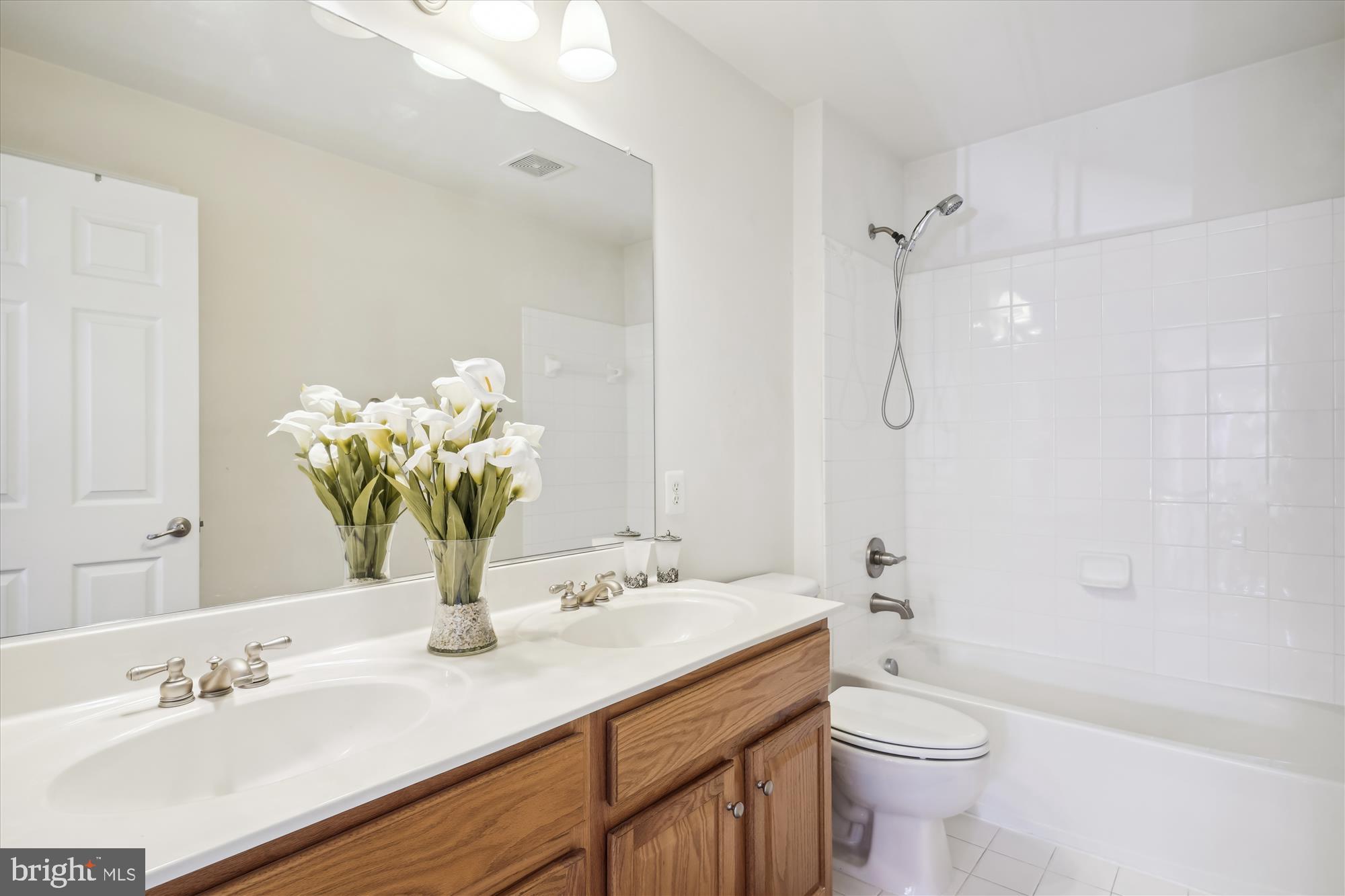 VILLAGE AT LORTON VALLEY - Residential