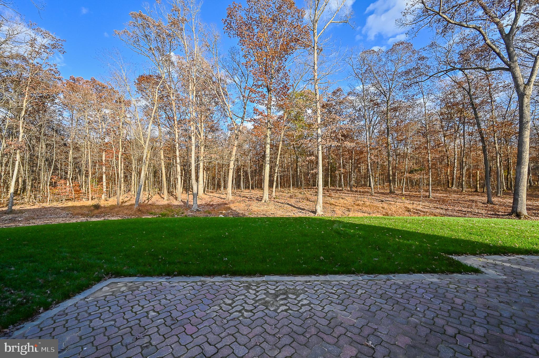 BRADDOCK WOODS - Residential