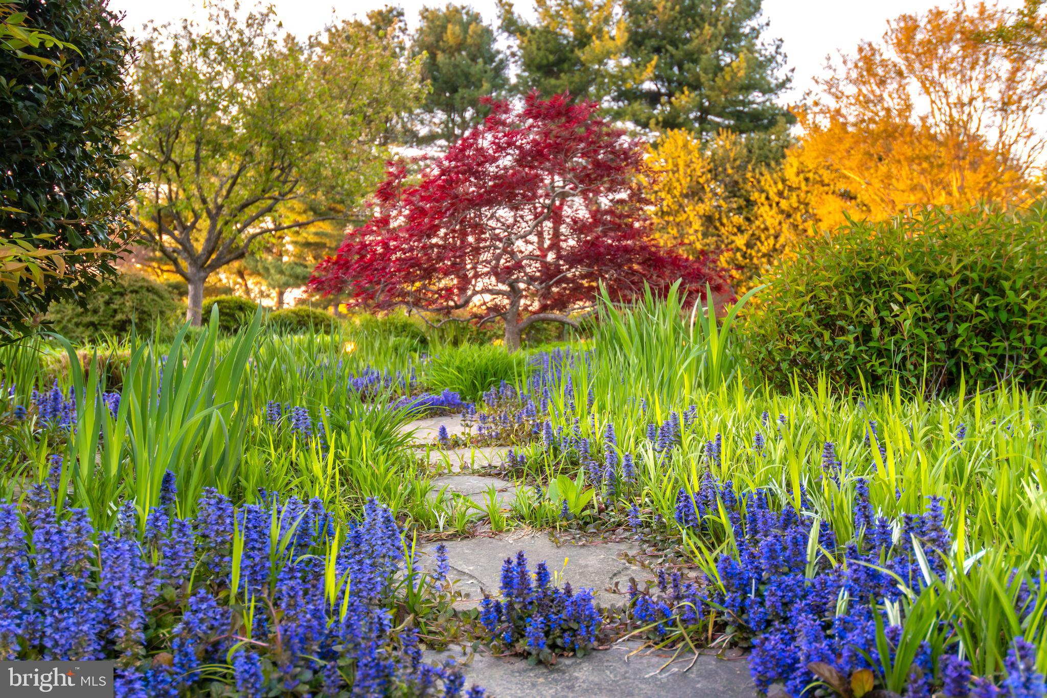 PATRICK'S PLAINS - Residential