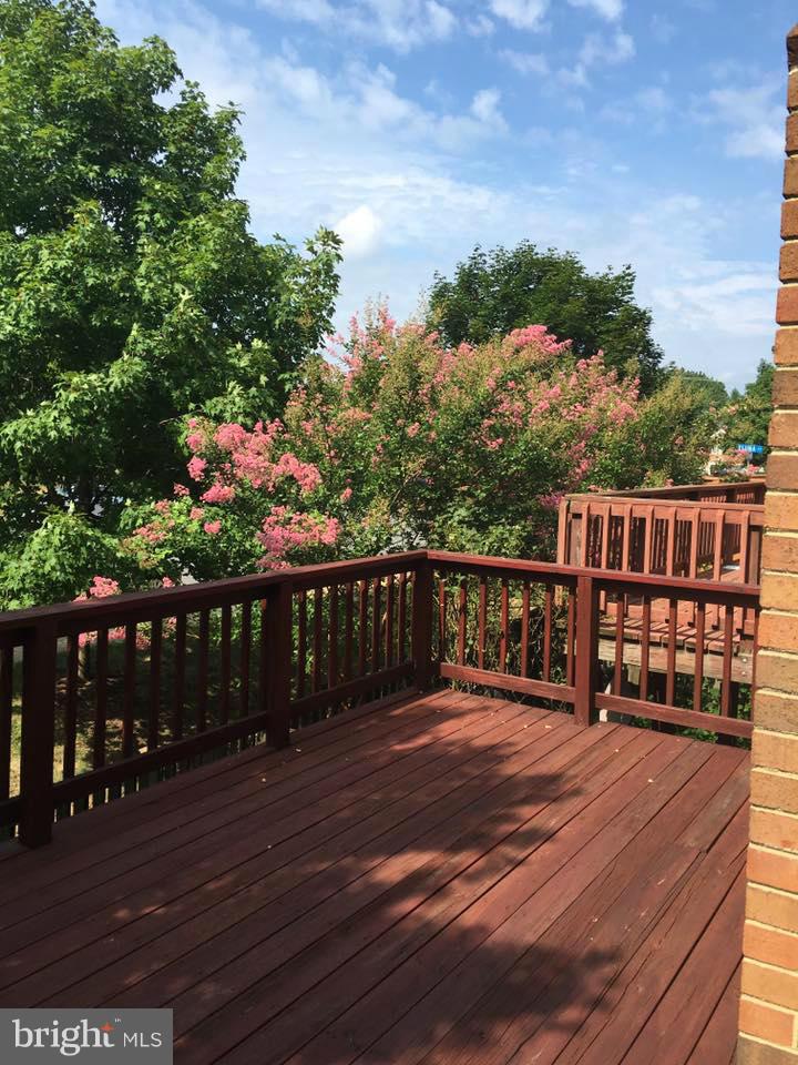 COURTHOUSE STATION - Residential Lease