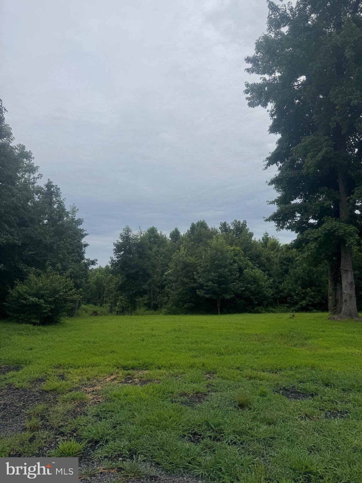 4313 & 4319 HADAMAR ROAD
