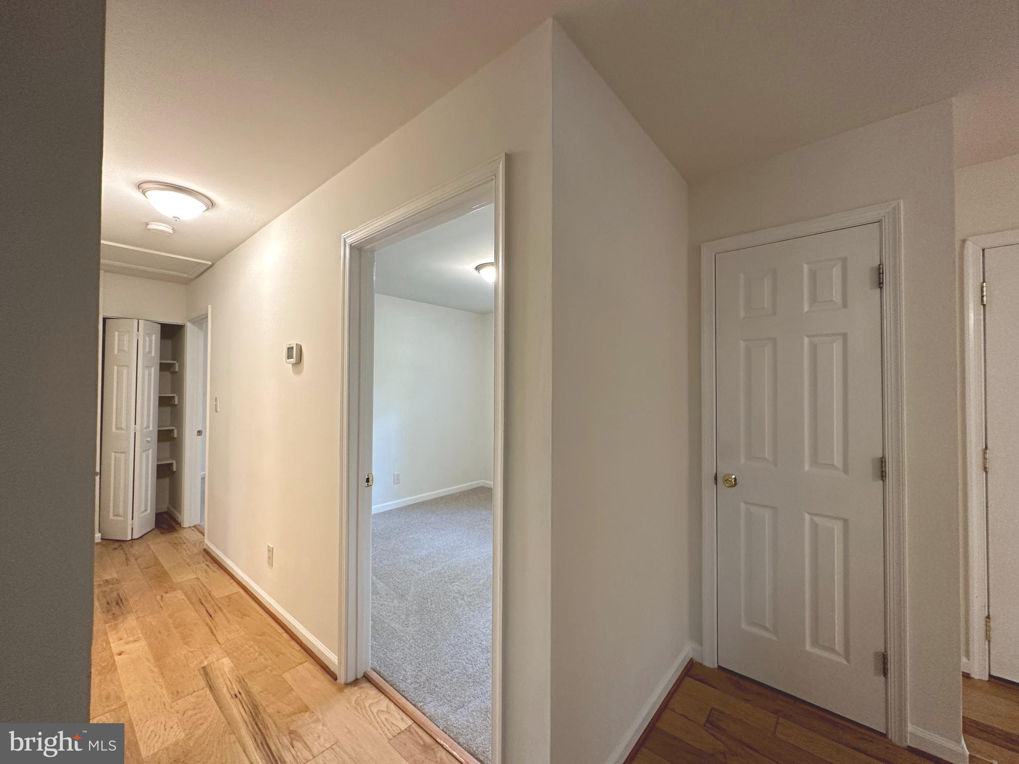 PLANTATION FOREST - Residential