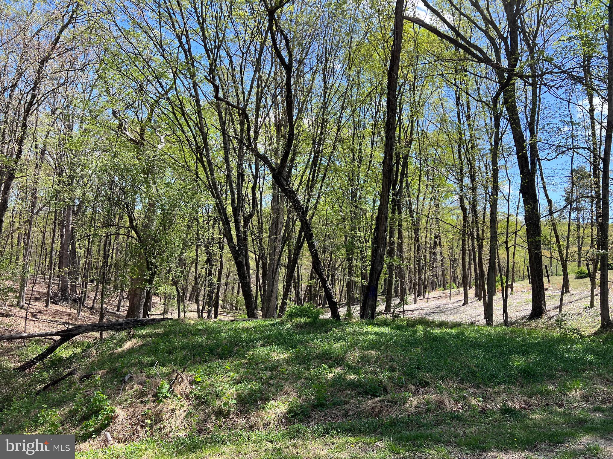 12 Wooded Unrestricted Acres - located along a county maintained road on the Southern end of Morgan County. Hunt, Camp, Ride ATV, build your dream home.