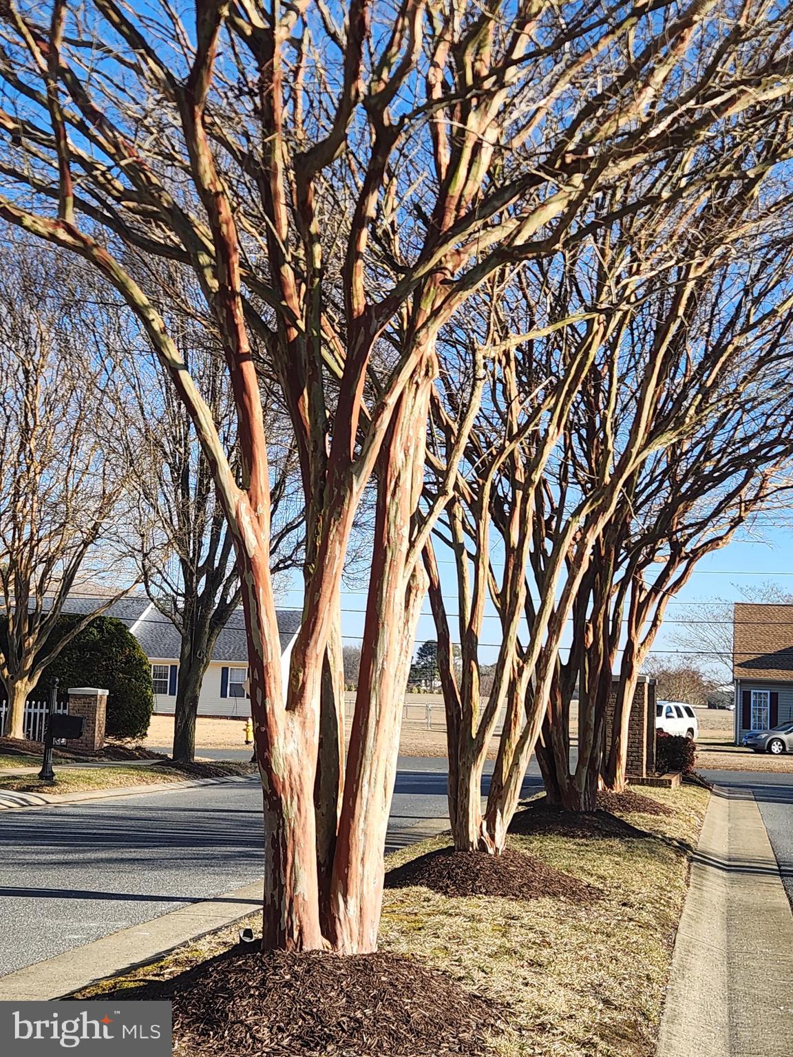 VILLAGE OF TONY TANK - Residential