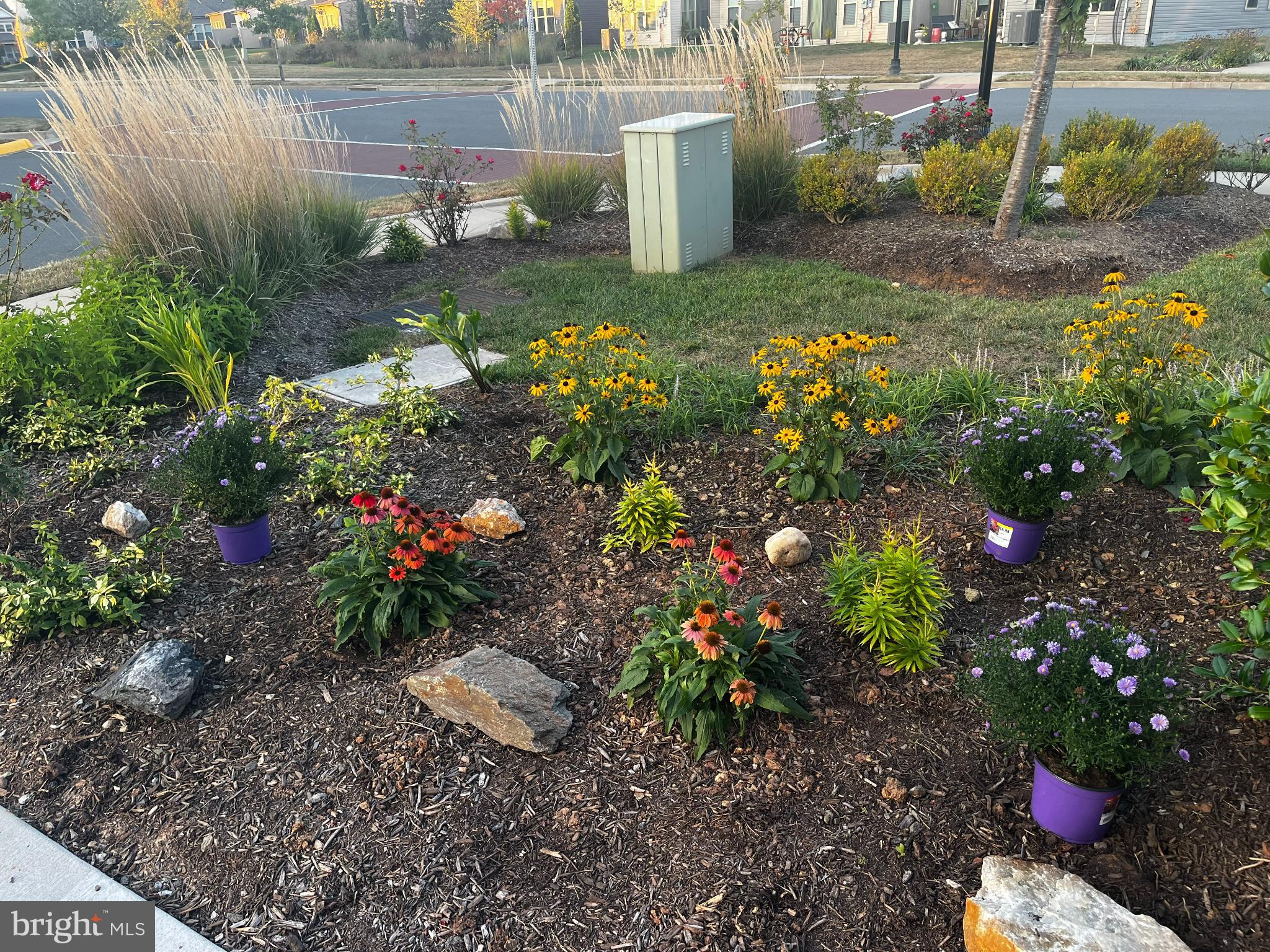 CARTER'S MILL - Residential