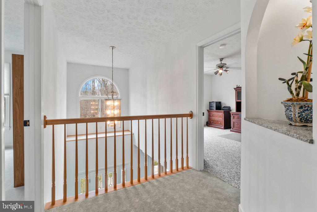 FREELAND - Residential