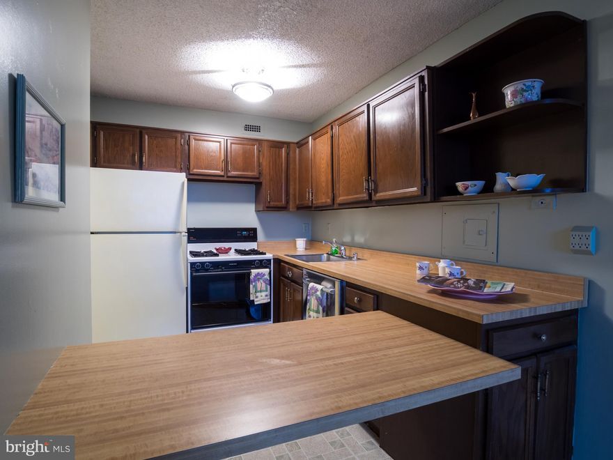 GREAT NEW PRICING and sooo lovingly refreshed, Executive One Bedroom/One Bath apartment ready  in a superb building and superb location available right away. Newly carpeted and painted. Great location as just steps away from the elevators and laundry room!!!   Just renovated bath! Pool view..  Assigned garage parking. Over-the-top number of guest parking spaces. New firepit on the  observation deck.  Resort-type amenities on new arcade level: indoor/outdoor pools, whirlpools, saunas, gym, seven lighted tennis courts, cafe, new gas grills, EV stations, market. 24-hr concierge, Ride-on bus to Metro.  New corridors, lounge, game room. All utilities and taxes and basic cable included.  NO smoking building!  NO pets except for cats. Vacant and totally ready for you!!!Near NIH and Walter Reed.