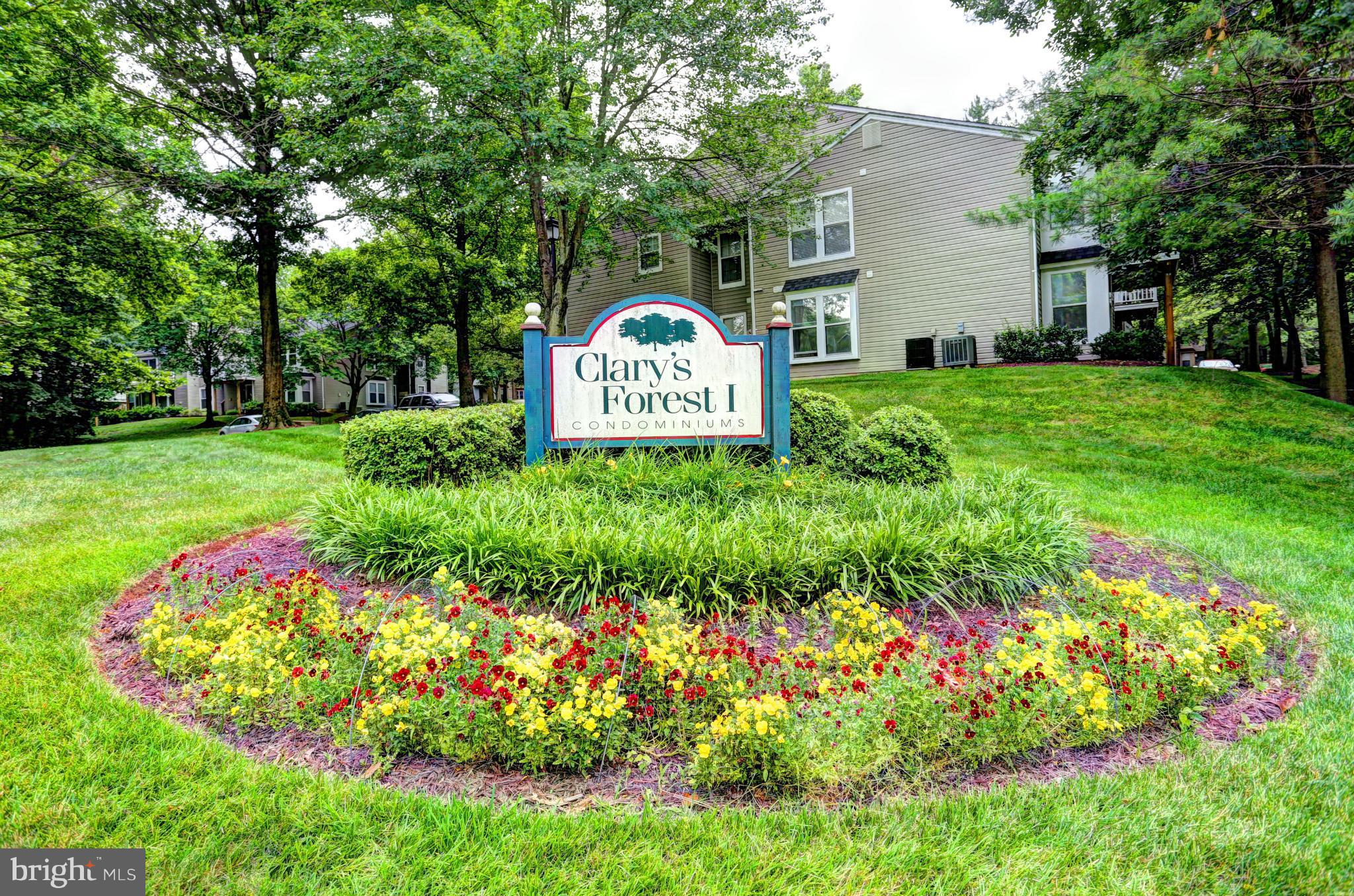 CLARY'S FOREST - Residential