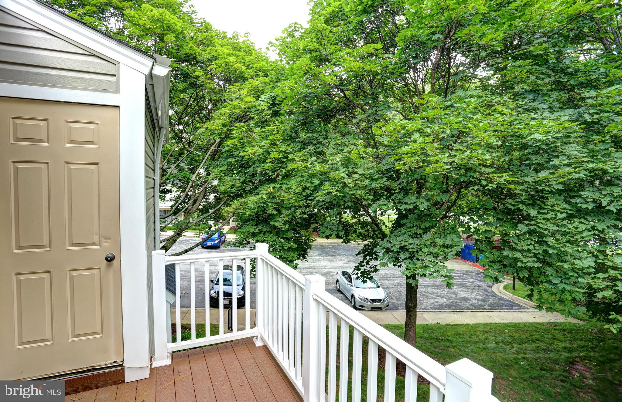 CLARY'S FOREST - Residential