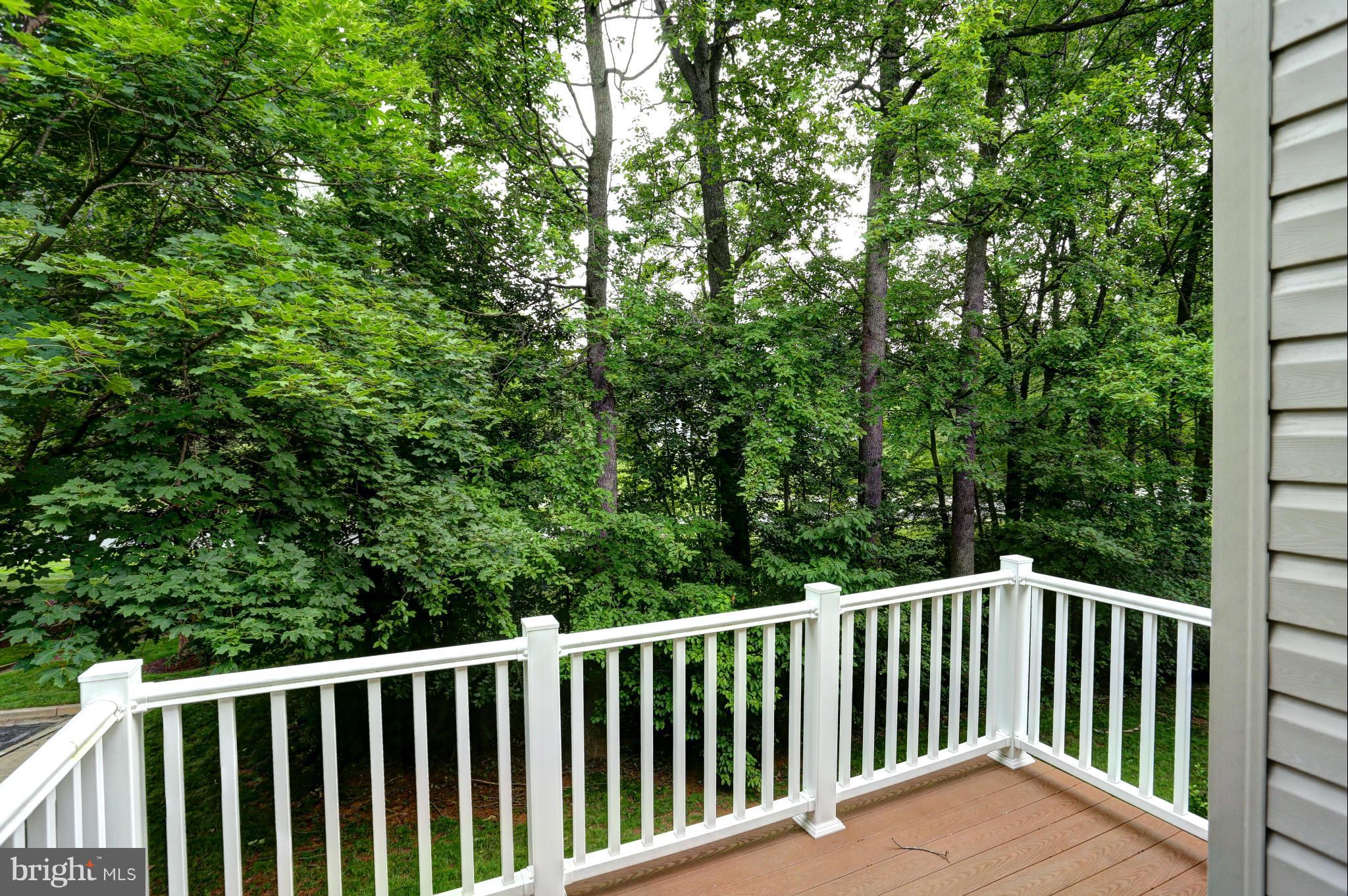 CLARY'S FOREST - Residential