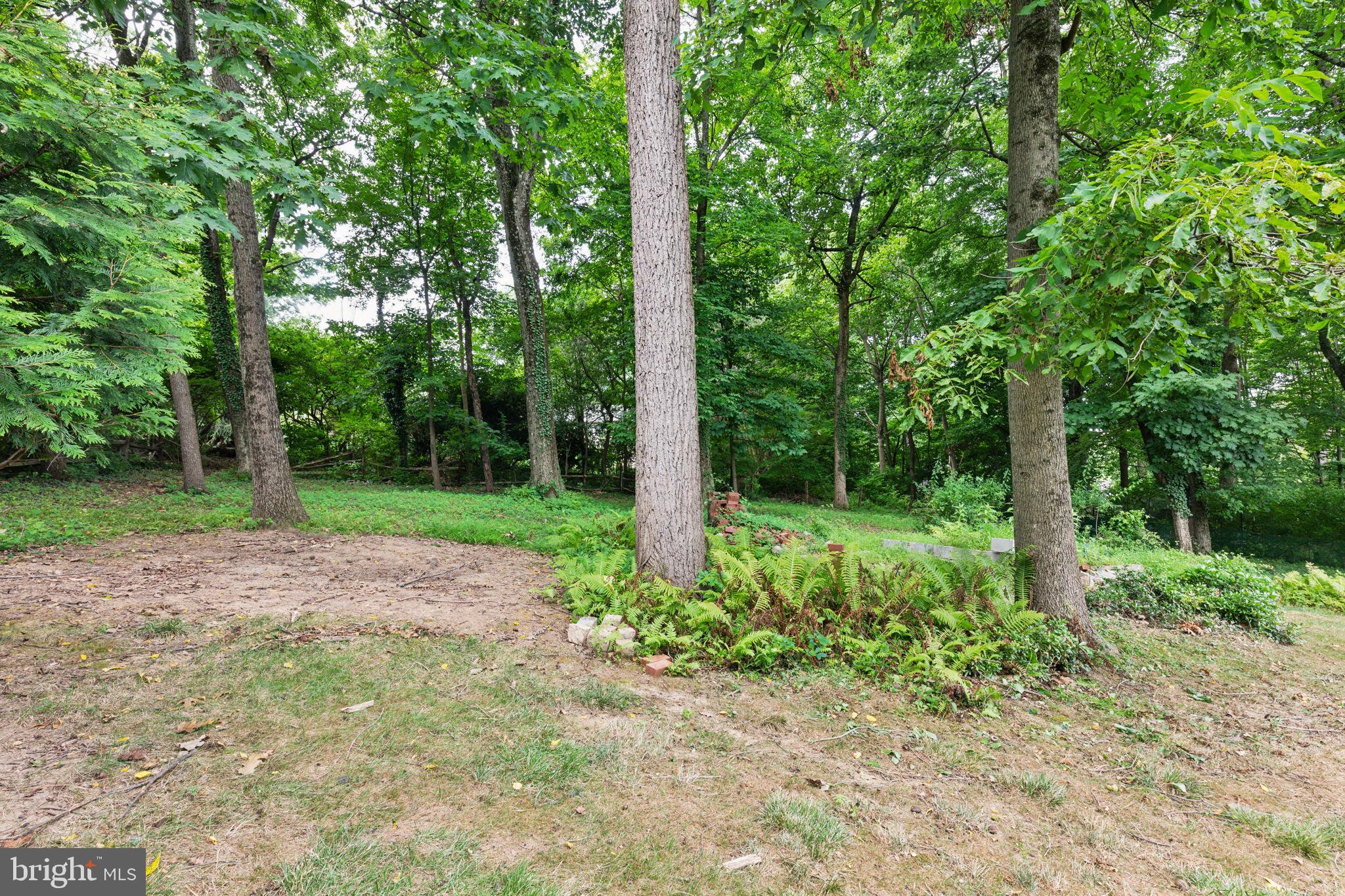 WYNDMOOR - Residential