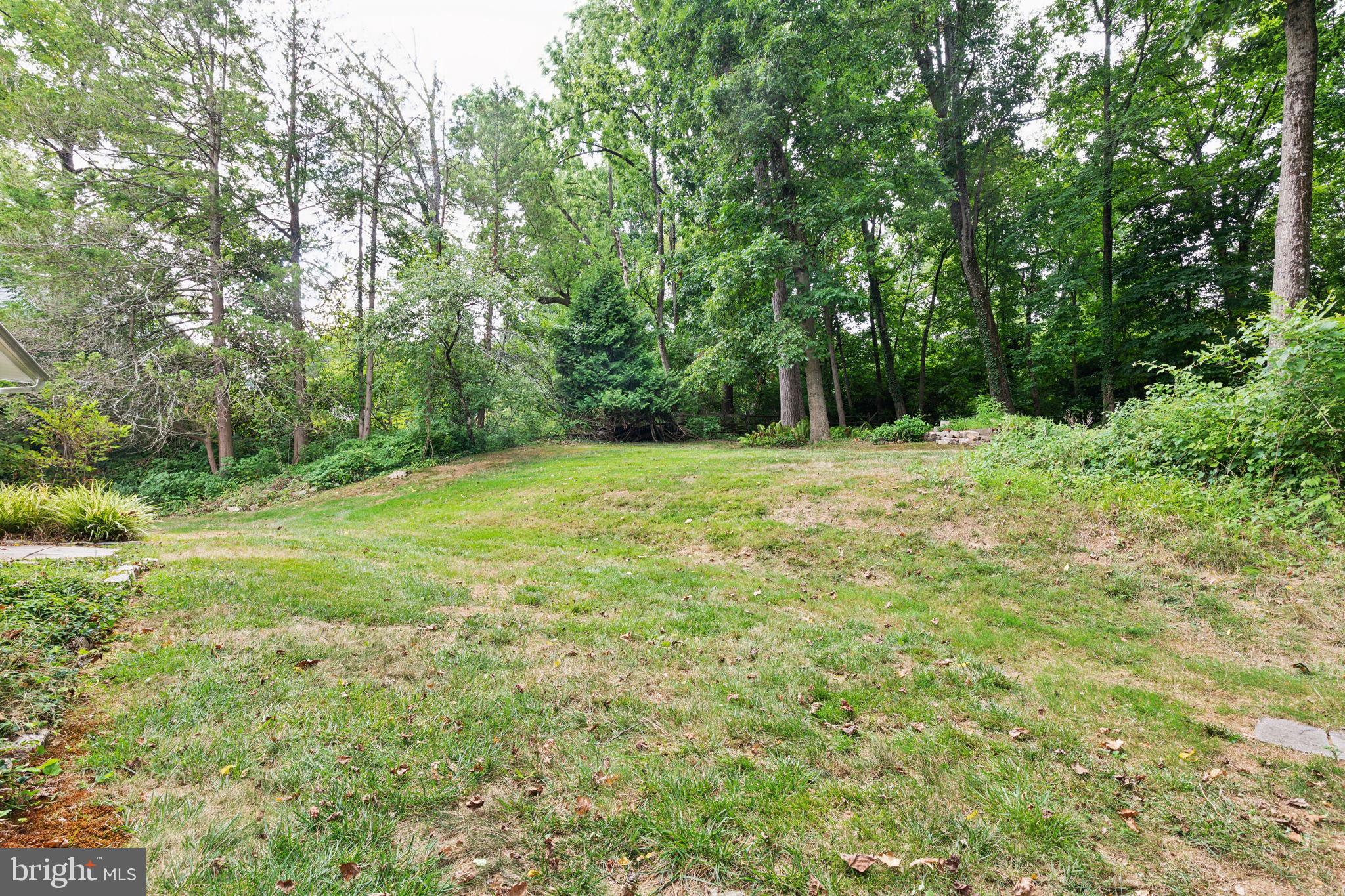 WYNDMOOR - Residential