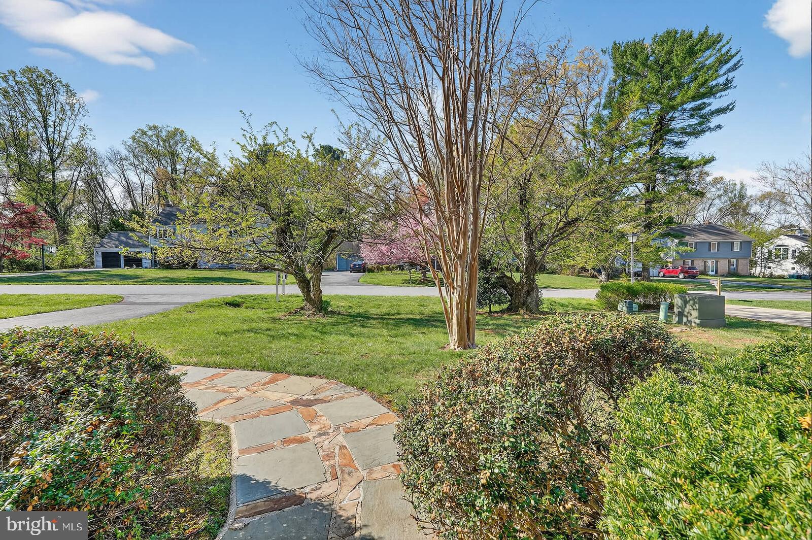 WILLIAMSBURG VILLAGE - Residential