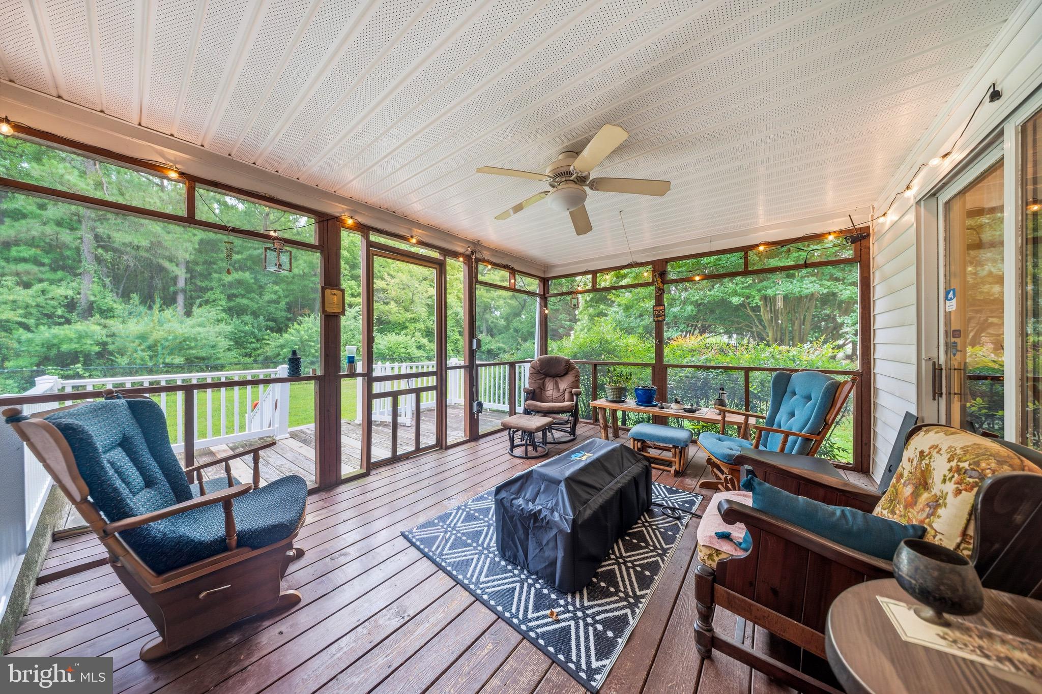 7297 CLARK ROAD