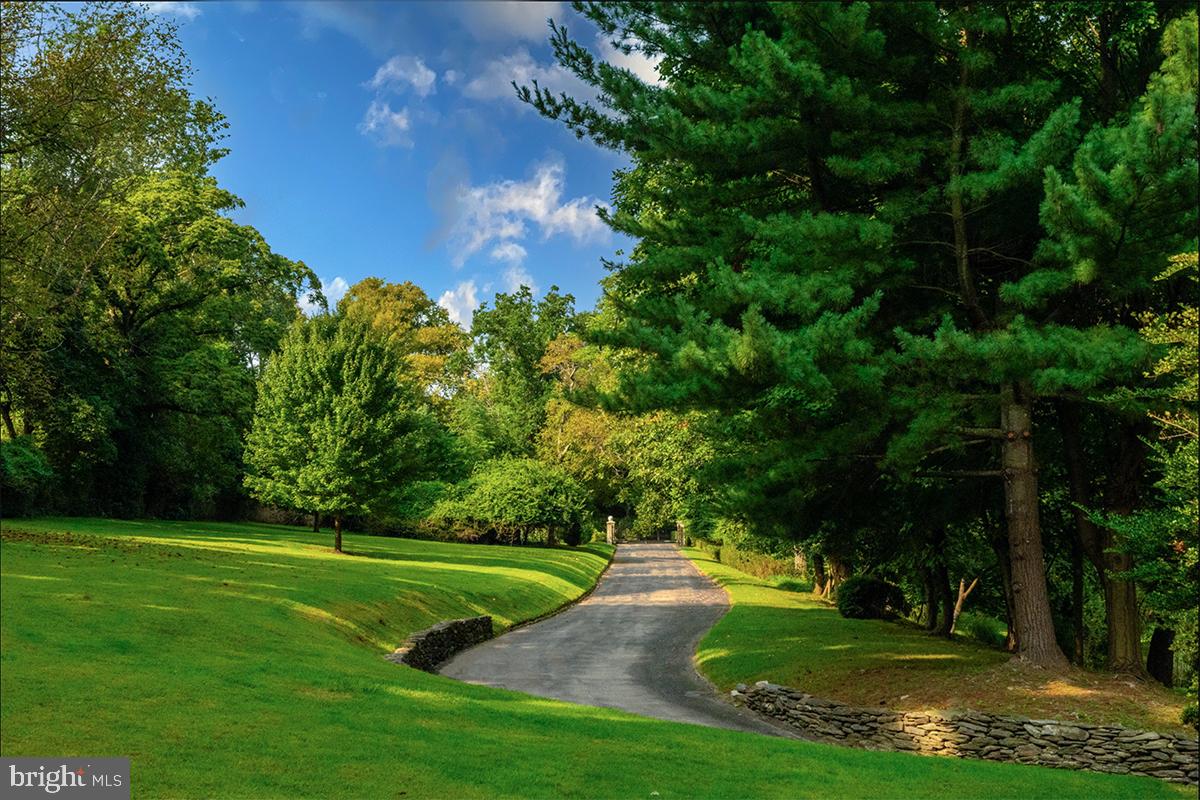 WYNDMOOR - Residential