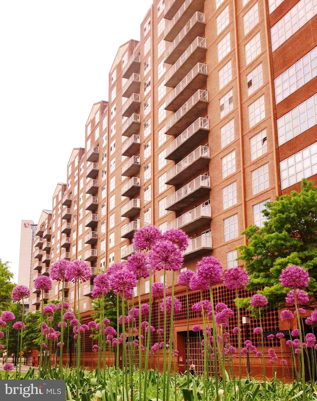 INNER HARBOR - Residential Lease