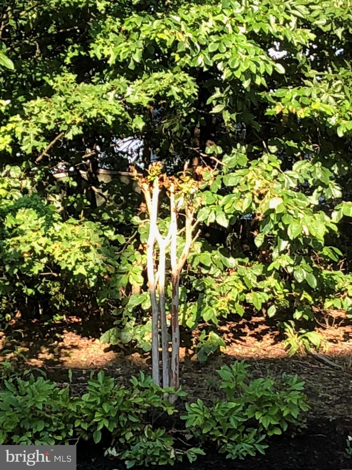 PRINCE WILLIAM TOWN CENTER - Residential