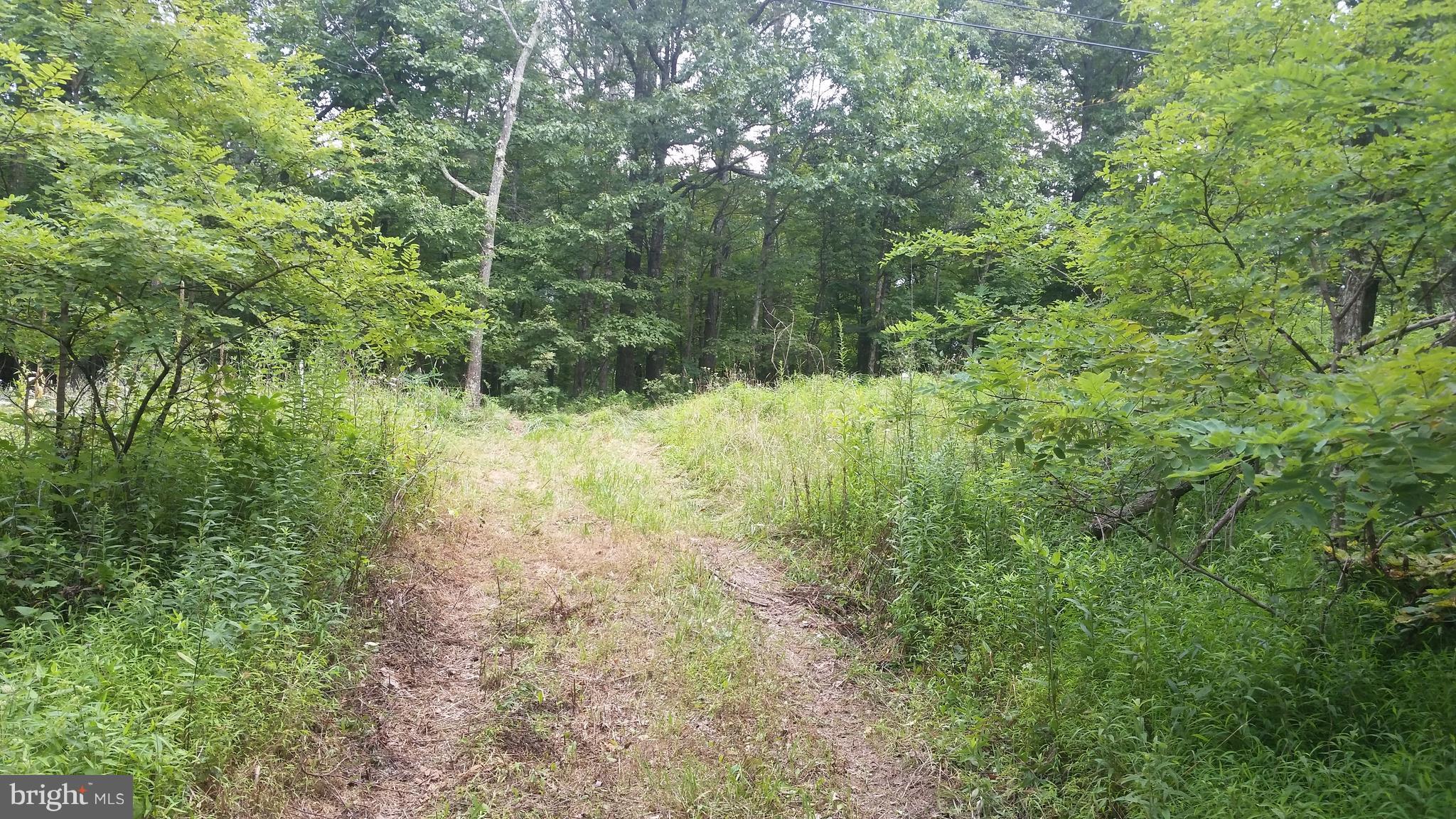 VALLEY HIGH TIMBER FARMS - Land