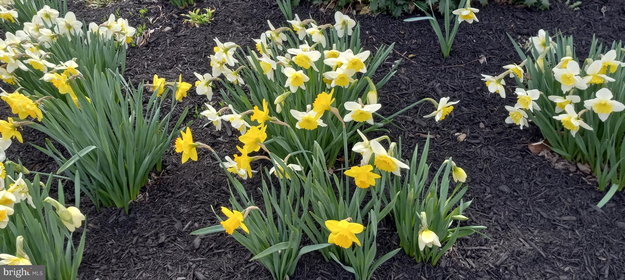 FAIRWINDS - Residential