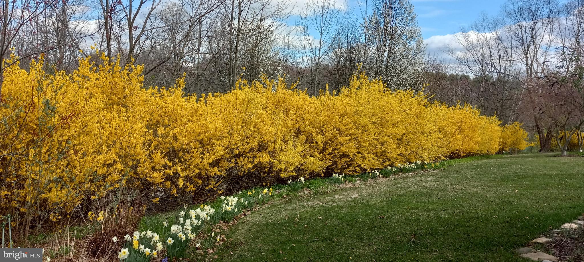 FAIRWINDS - Residential