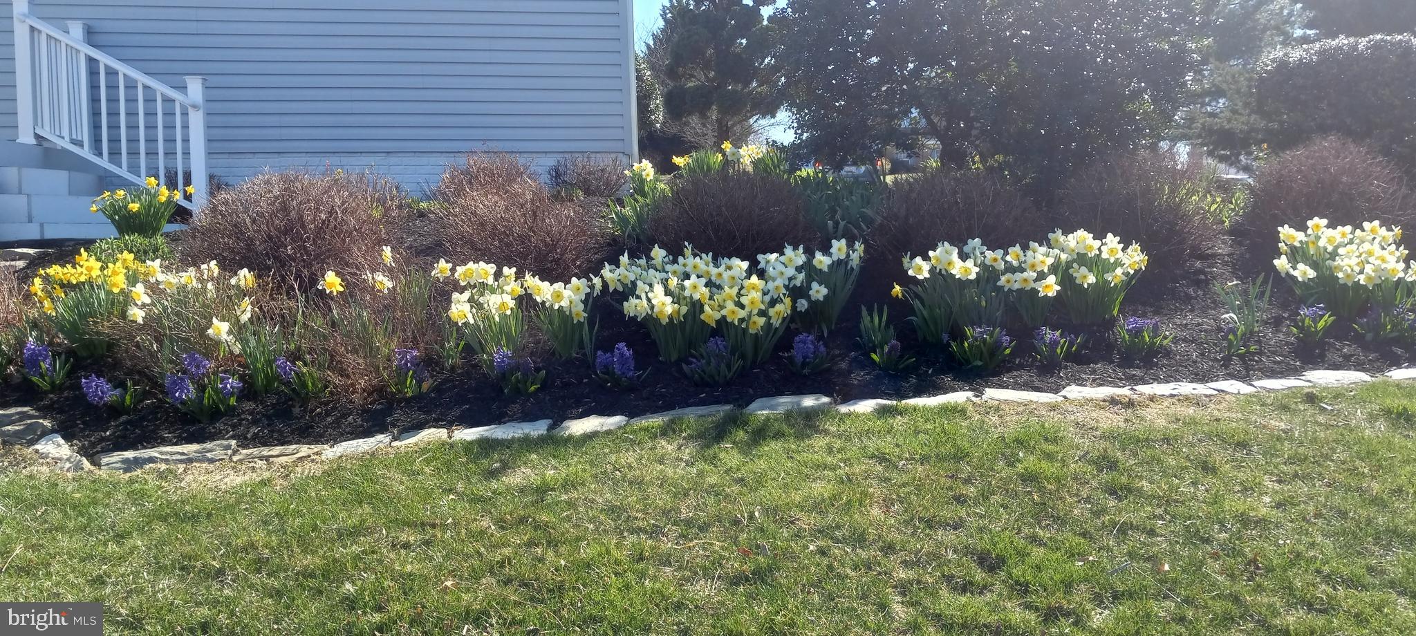 FAIRWINDS - Residential