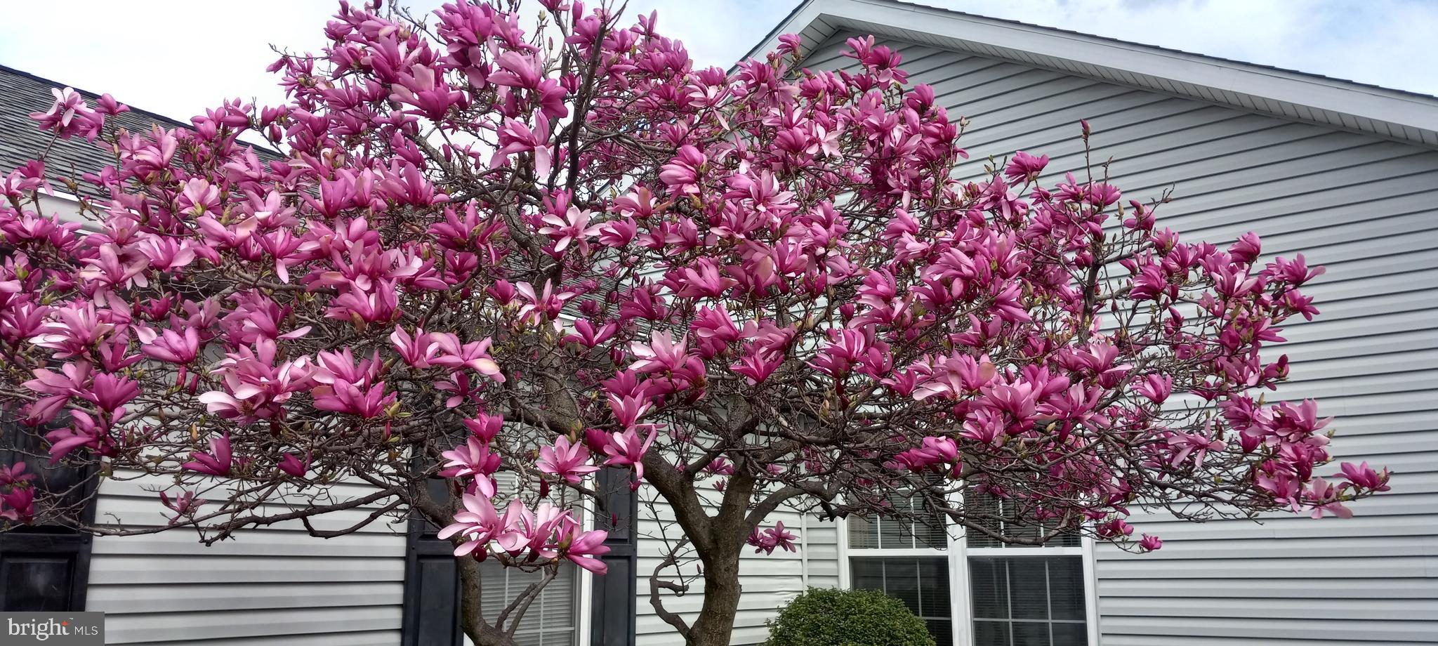 FAIRWINDS - Residential