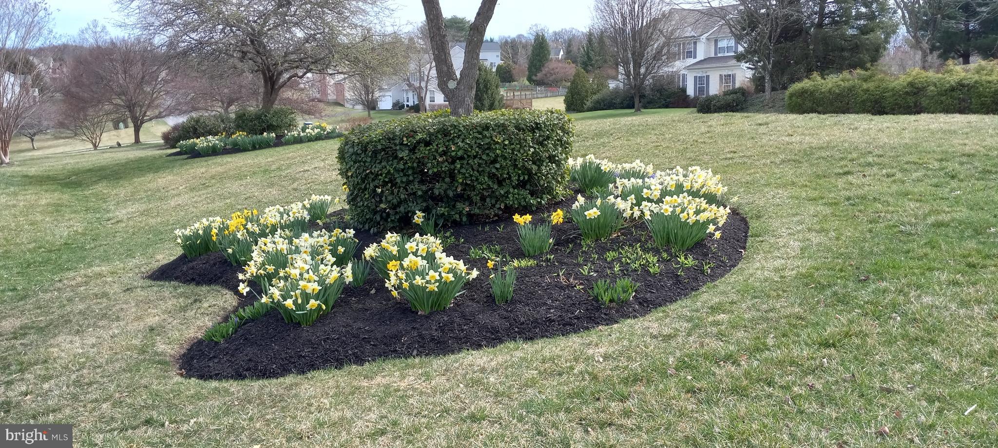 FAIRWINDS - Residential