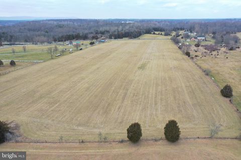 590 CARLYLE ROAD MARTINSBURG WV 25404