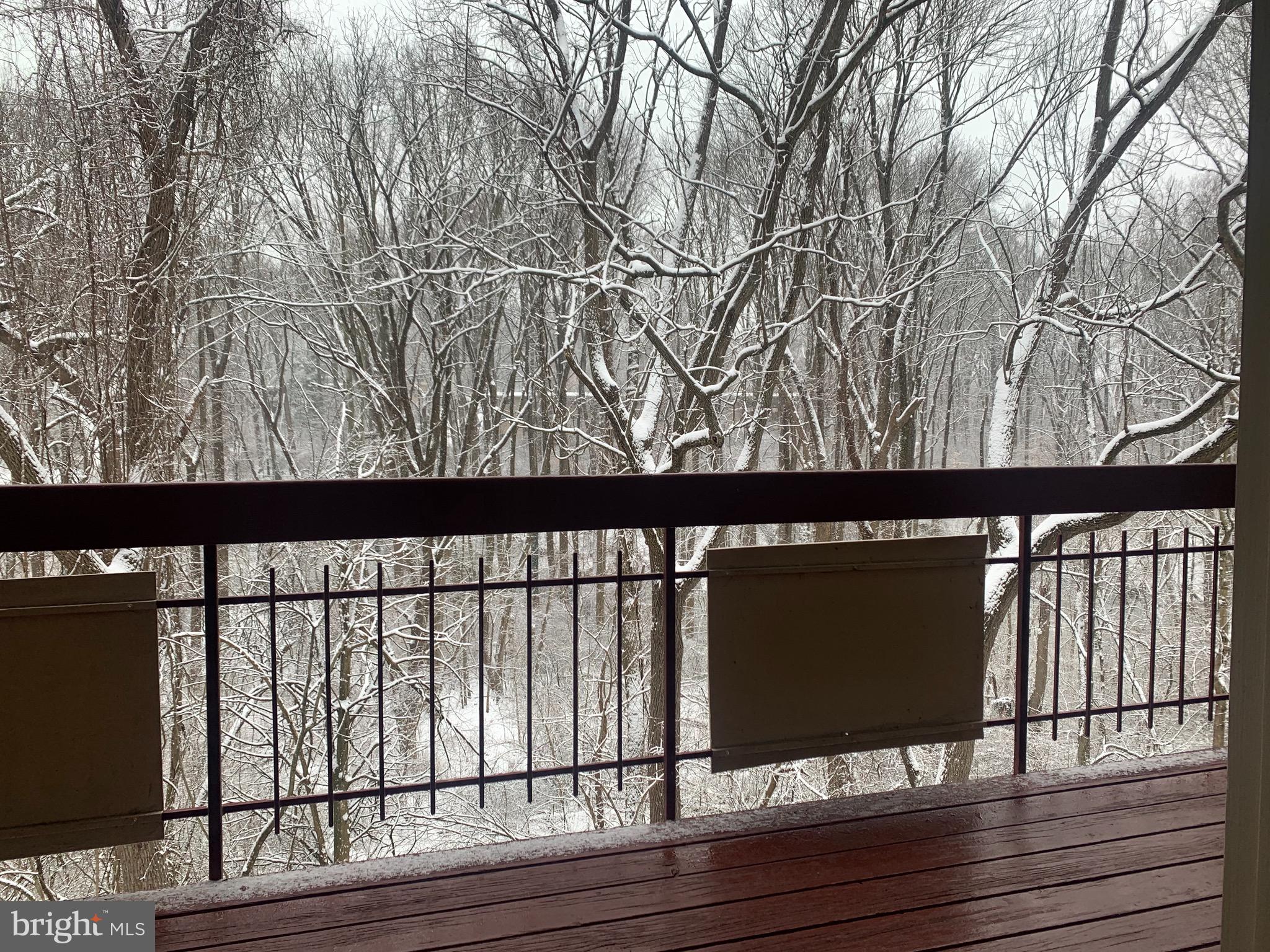 4251 AMERICANA DRIVE 203