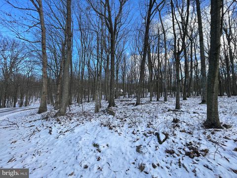 103 SNOWRIDGE CIRCLE ZION GROVE PA 17985