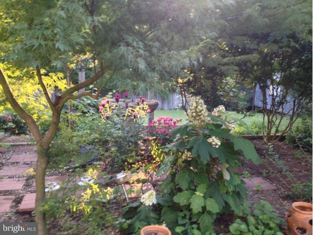 BALLS HILL - Residential